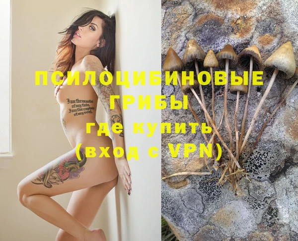 каннабис Алексеевка