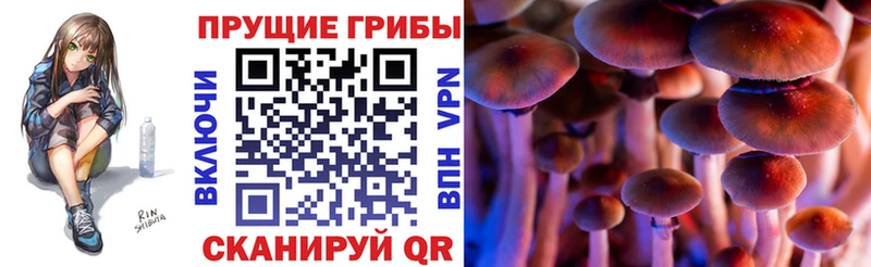 МЕГА как зайти  даркнет сайт  Усолье  Псилоцибиновые грибы Magic Shrooms 
